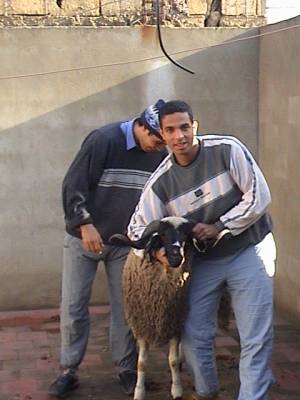 oussama::::::::nabil